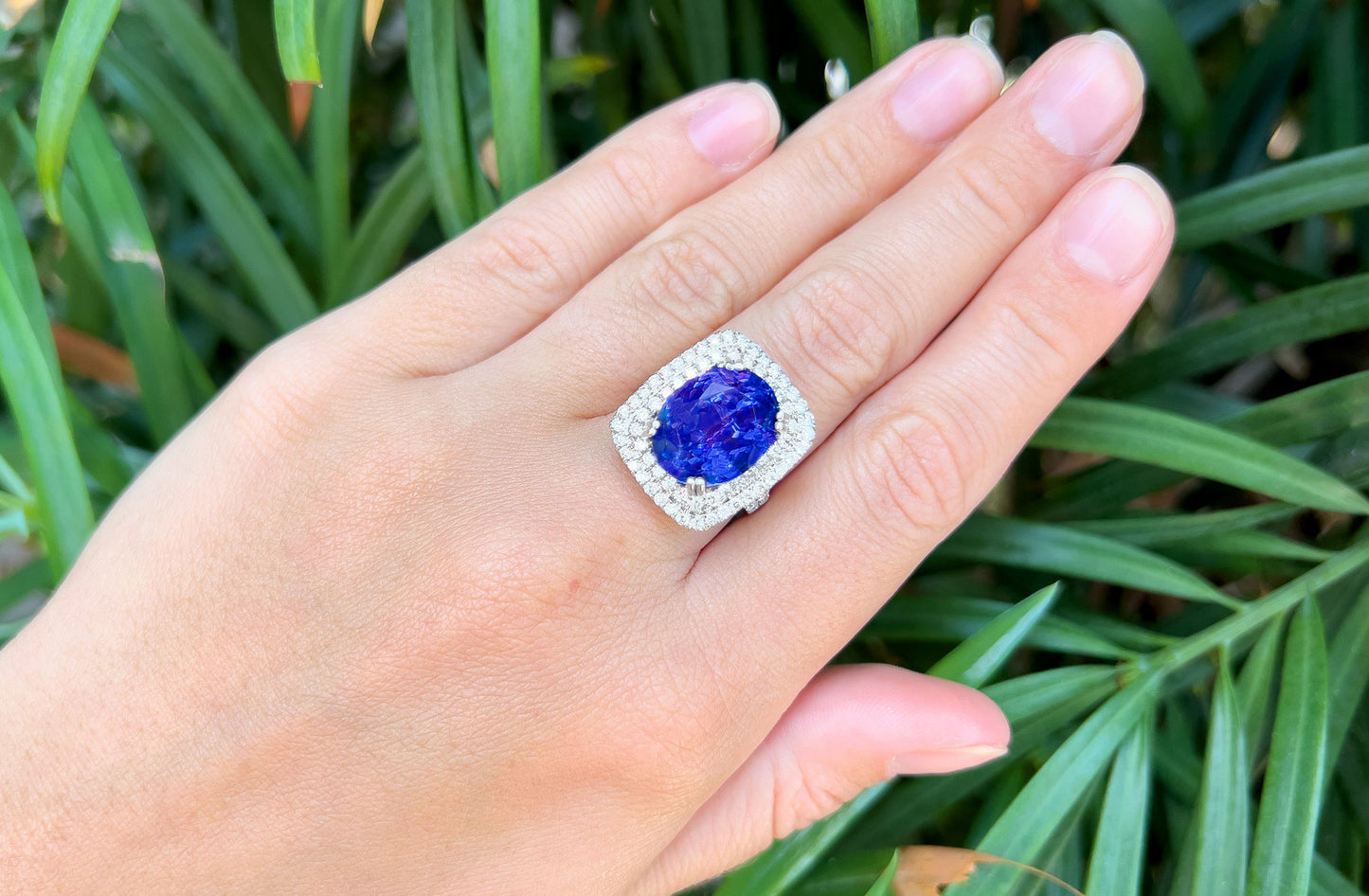 Gem Quality Tanzanite 12.50 Carat Ring With Double Diamond Halo 2.85 Carats Total 18K Gold